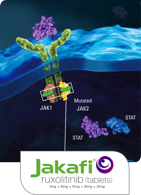 Mechanism of Action showing Jakafi® (ruxolitinib) targeting the JAK1 and JAK2 pathway