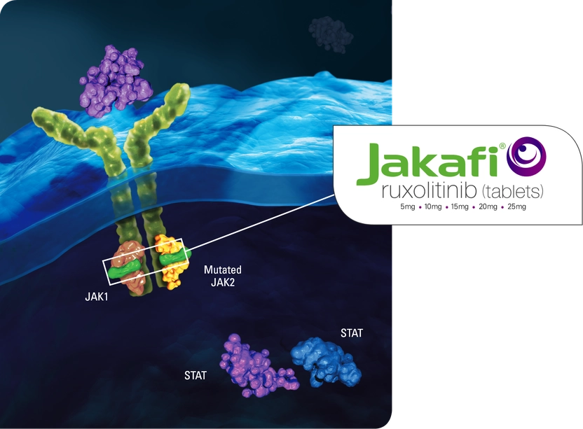 Mechanism of Action showing Jakafi® (ruxolitinib) targeting the JAK1 and JAK2 pathway