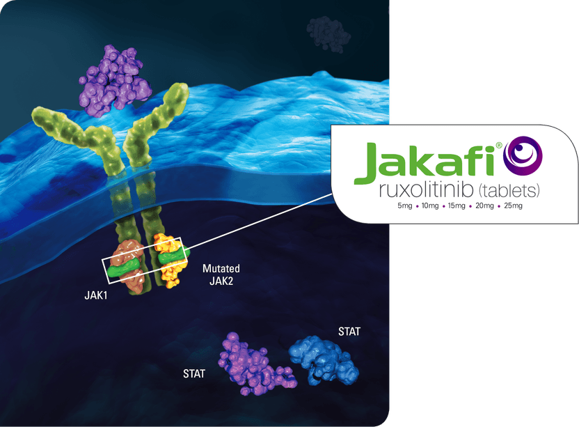 Mechanism of Action showing Jakafi® (ruxolitinib) targeting the JAK1 and JAK2 pathway