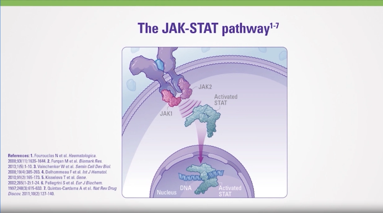 Mechanism of Action of Jakafi<sup>®</sup> (ruxolitinib) video thumbnail
